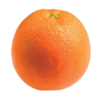 Hand orange