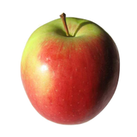 Pomme Elstar