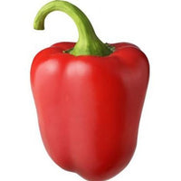 Paprika rood